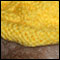 Eia's cabled hat on a dog