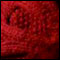 Saene's cabled hat