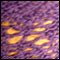Marcie's candle flame shawl, in-progress
